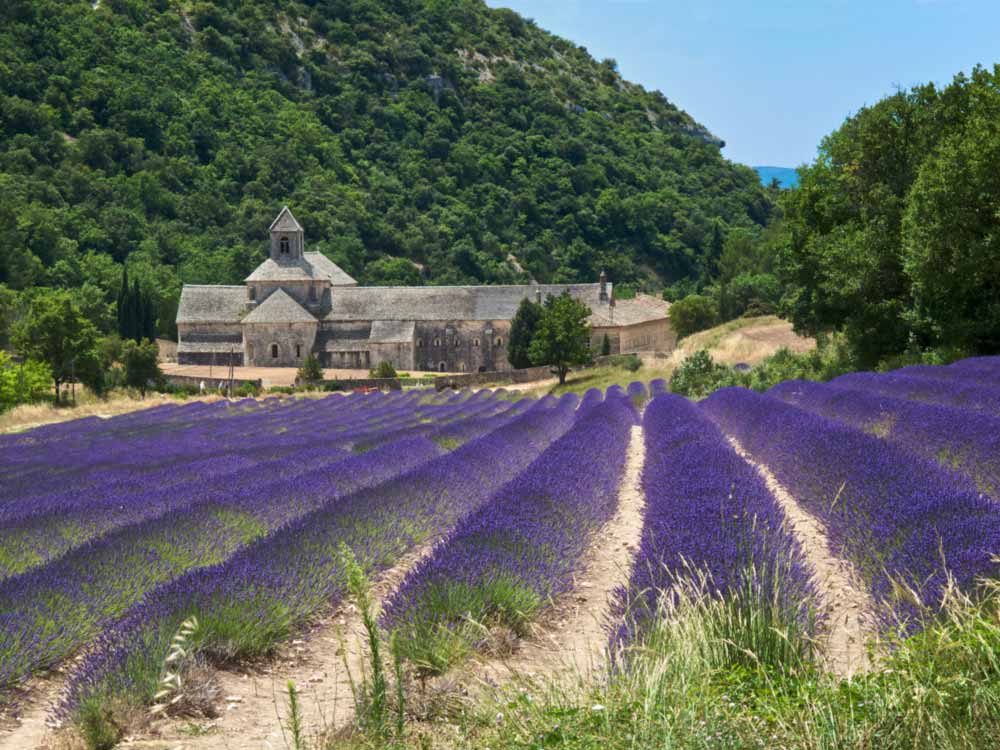 Backroads biking at S&eacute;nanque Abbey near the village of Gordes in the d&eacute;partement of the Vaucluse in Provence, France