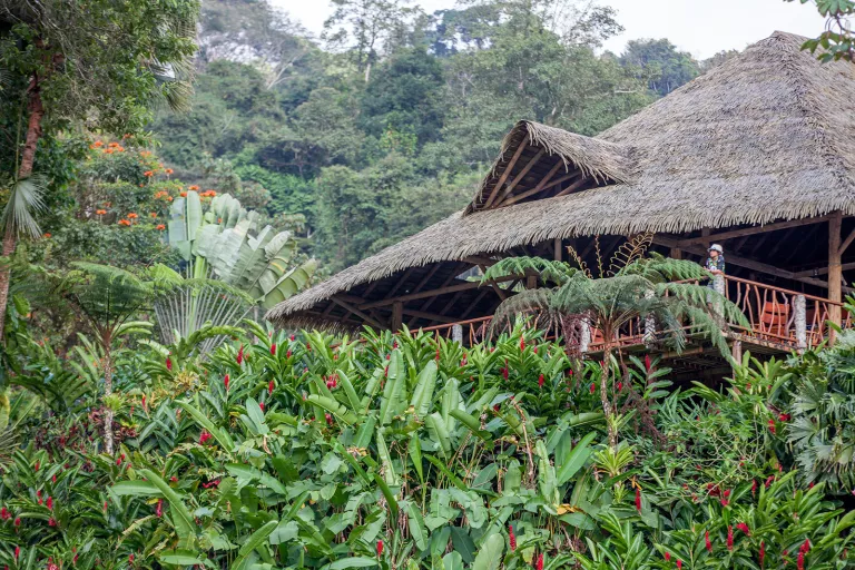Exterior view of the Rafiki Safari Lodge