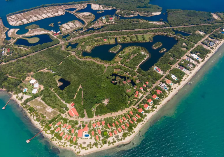 Sky view of peninsula surrounded by water and tall trees