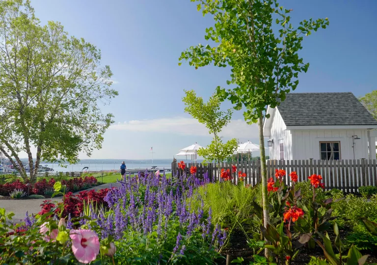 Outdoor garden with a white building next to the ocean