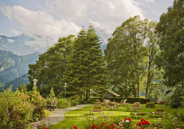 Building surrounded by tall trees in a valley