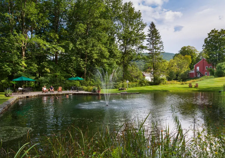 Lake with a fountain in the center, with tall trees in the background