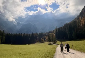 Two people walking on a dirt trail with a large forest in the background