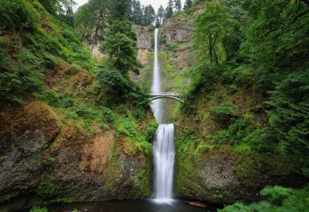 Multnomah Falls in Oregon