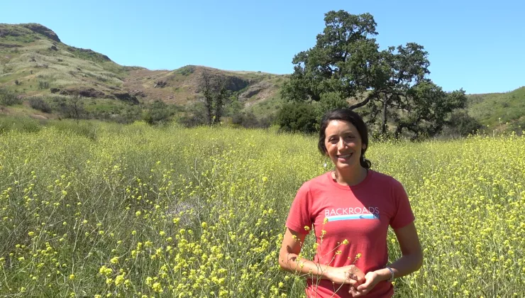 California Wine Country Bike Tour