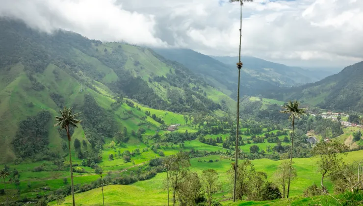 Lush, green Colombia