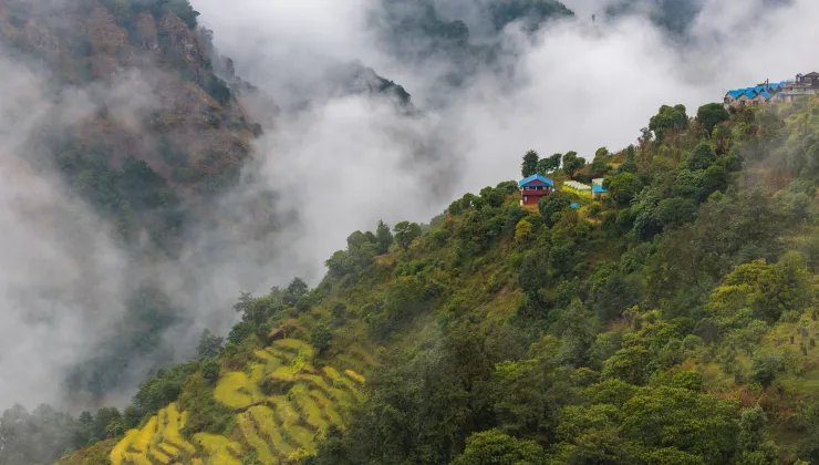 Hills with thick forest and houses on top, with fog in the background