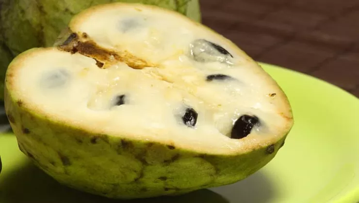 chirimoya fruit