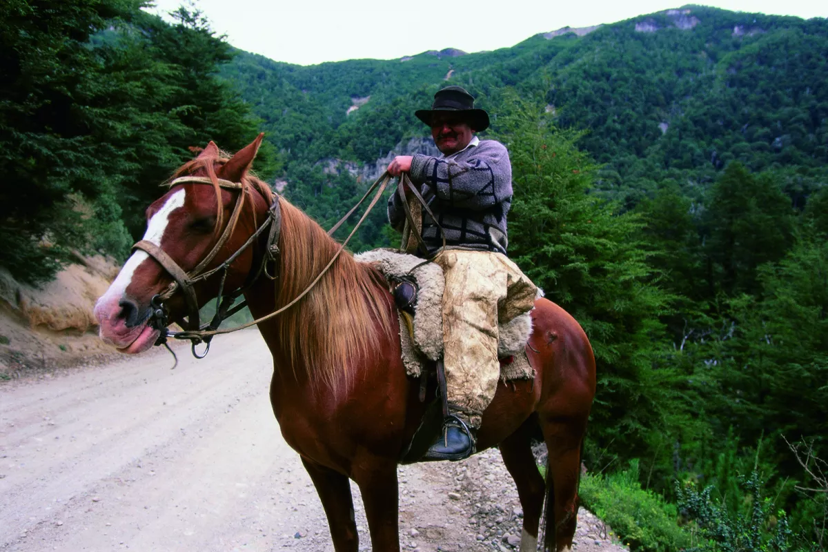 Man on horseback