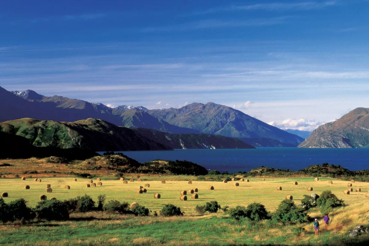 Mountain range 