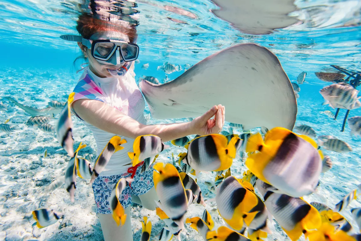 Backroads guests snorkeling with fish