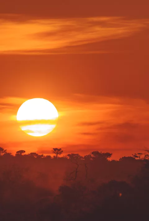 Sunset over the savannah in Africa
