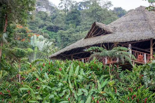 Exterior view of the Rafiki Safari Lodge