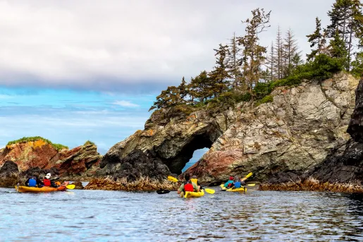Guests kayaking