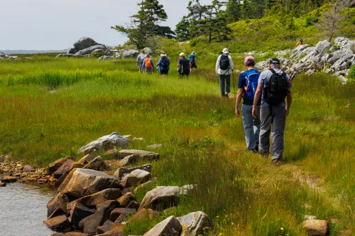 Group of guests walking along meadow trail, forest to right, small pond to left.