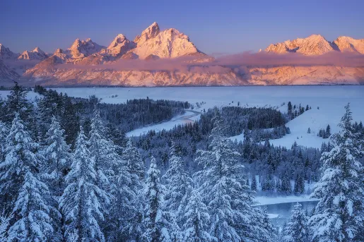 Snowy landscape with snow covered trees and orange sunset