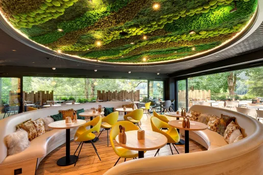 Wide lounge area with circular sofas, and green plants on the ceilings