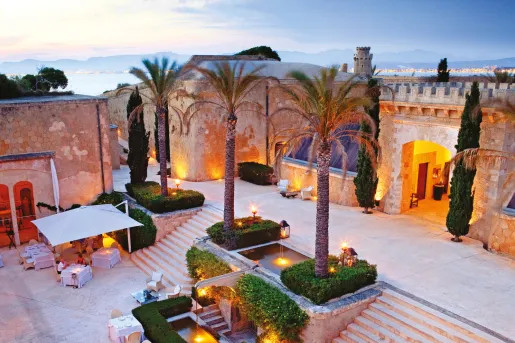 palm trees on a large patio
