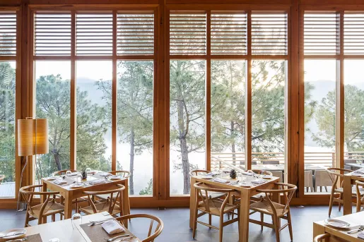 Wooden chairs and dining tables with large windows looking out to tall trees