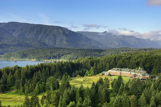 Landscape with pine trees and mountain in the background