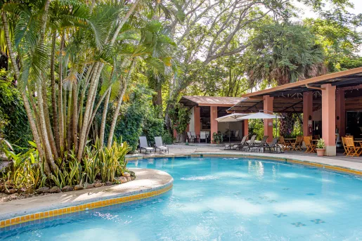 Outdoor pool surrounded by tall trees and a brown building