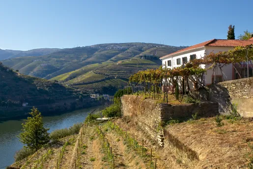 Building overlooking a river on a hill