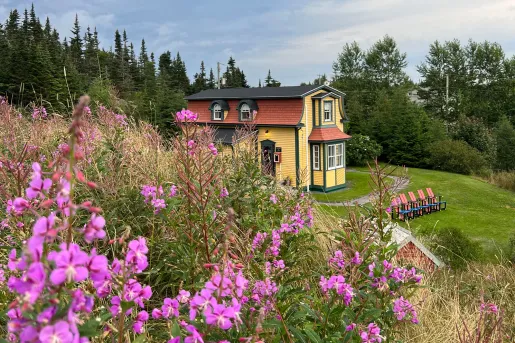 pink flower bushes with yellow house in the background