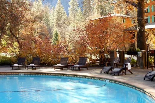 Outdoor pool, surrounded by orange trees and black reclining chairs