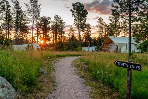 Gravel trail surrounded by tall grass leading towards luxury tents