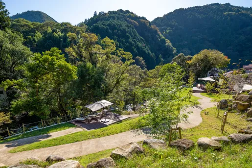 Outdoor view of a trail surrounded by tall trees and hills
