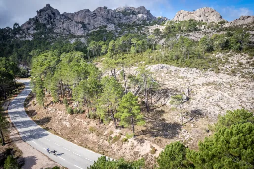 Two bikers on a road next to a large forest