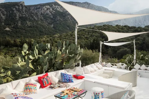 Outdoor patio with large, white couches and large cactus plants in the back