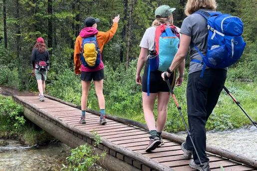 Group of women each wearing backpacks and hiking in the middle of a forest