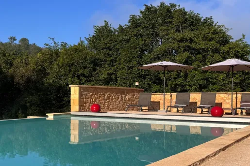Outdoor pool with large trees in the background