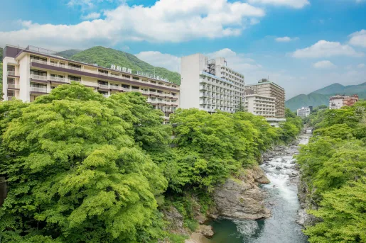 Exterior view of tall buildings with trees and a river in front