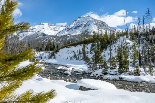 Large snow-capped mountains and trees