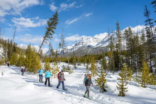 Group of people walking through a snowy trail in a valley
