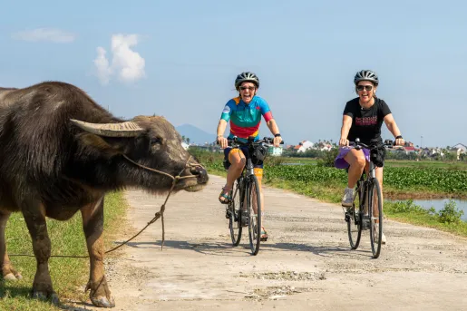 Two women smiling and biking next to a large bull