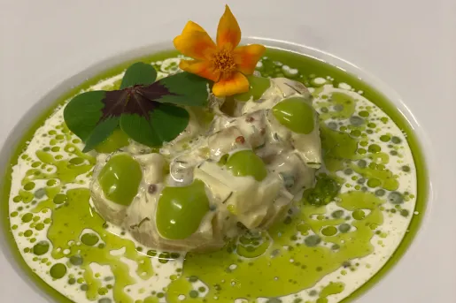 White dish with a plated white and green salad