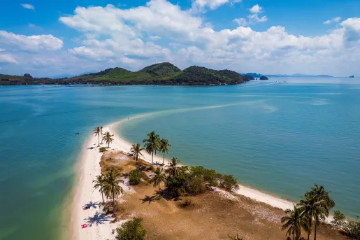 Beach with blue water and small palm trees