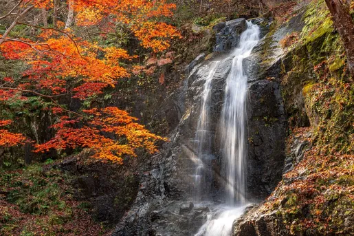 Active waterfall in a forest