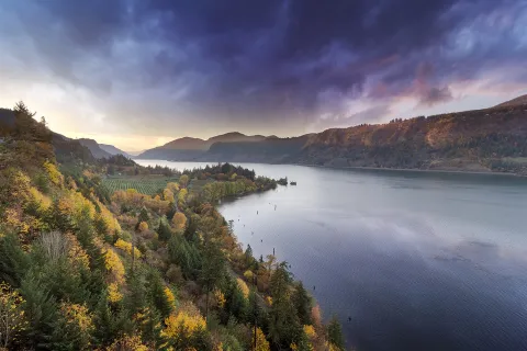 Grey and purple sky above green and yellow forest.