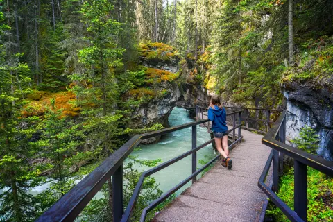 Young guest on bridge over river, looking out towards forest.