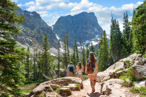 Group of people walking down a gravel trail on a hill, surrounded by tall trees