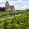 Backroads Guests Biking Through Vineyard in Alsace