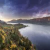Grey and purple sky above green and yellow forest.