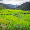 Open grass valley with a group of hikers walking one a dirt path