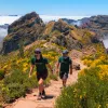 Man and woman ascending a mountain, surrounded by green and yellow plants