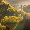 Large valley with tall trees, and a stone bridge in the background