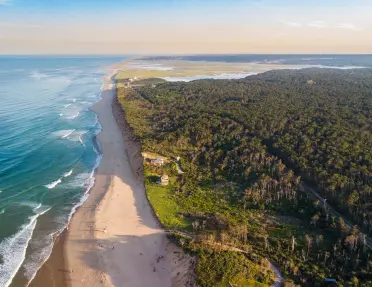 Sky view of a beach with a large forest to the right